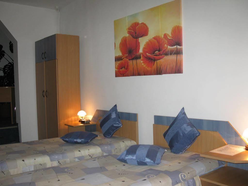 Pensiunea Leo Brasov Exterior photo